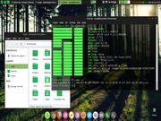 XFWM Manjaro 0.8.13 XFCE4